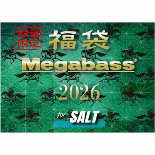 新品未開封 遊戯王 デュエリストカードハンディーファイル バインダー