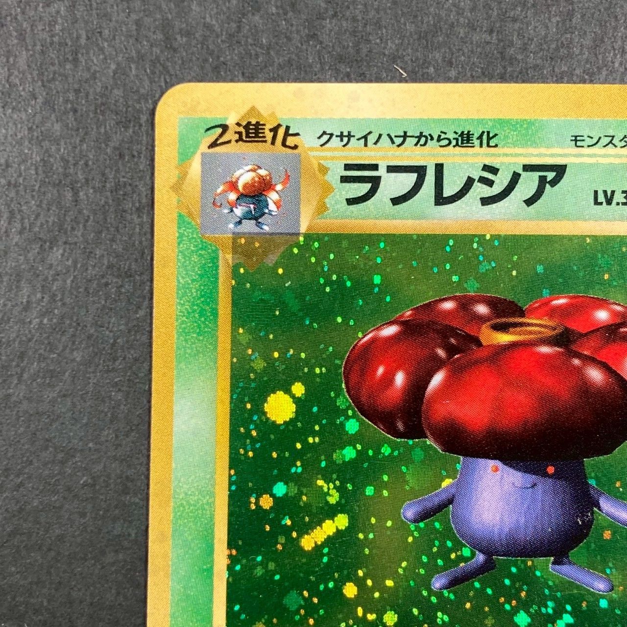 PM13】旧裏キラ ラフレシア - メルカリ