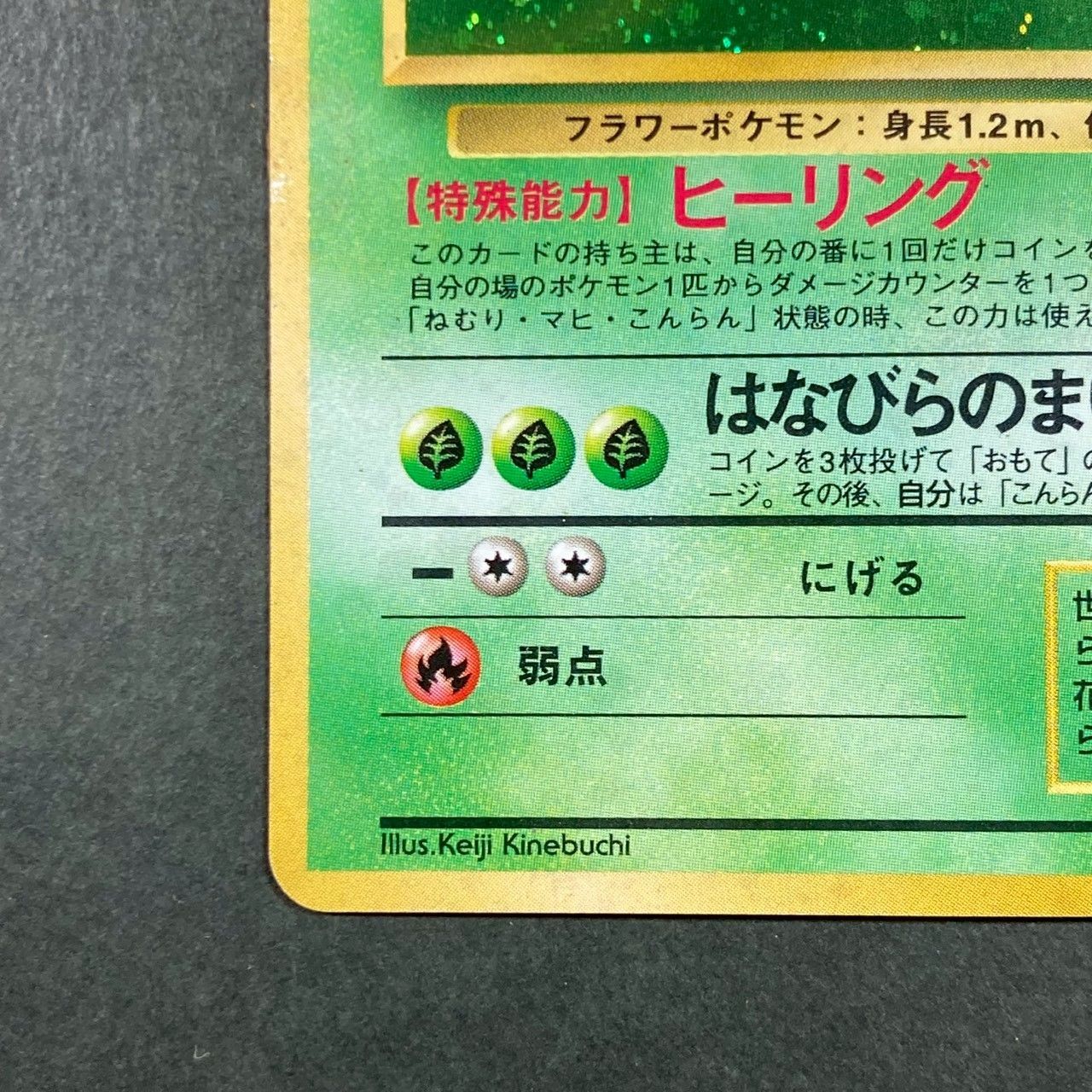 PM13】旧裏キラ ラフレシア - メルカリ