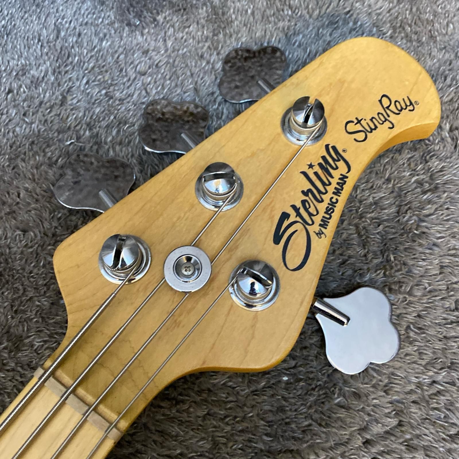 尾張小牧店】【楽器】 中古 Sterling by MUSIC MAN | スターリングバイ