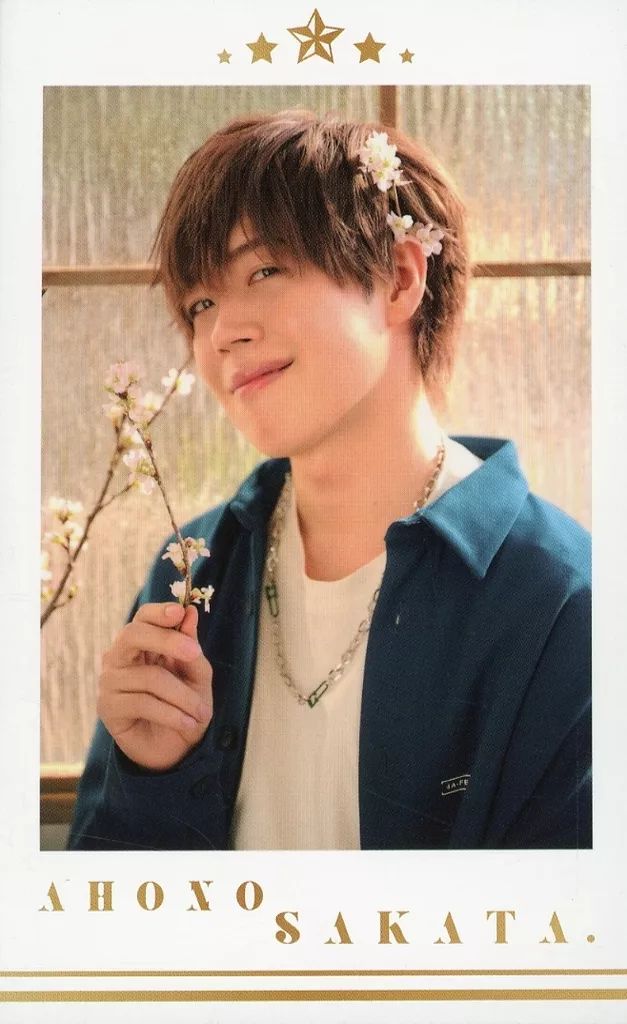 中古】コレクションカード(男性) あほの坂田。/「AHO NO SAKATA 15th