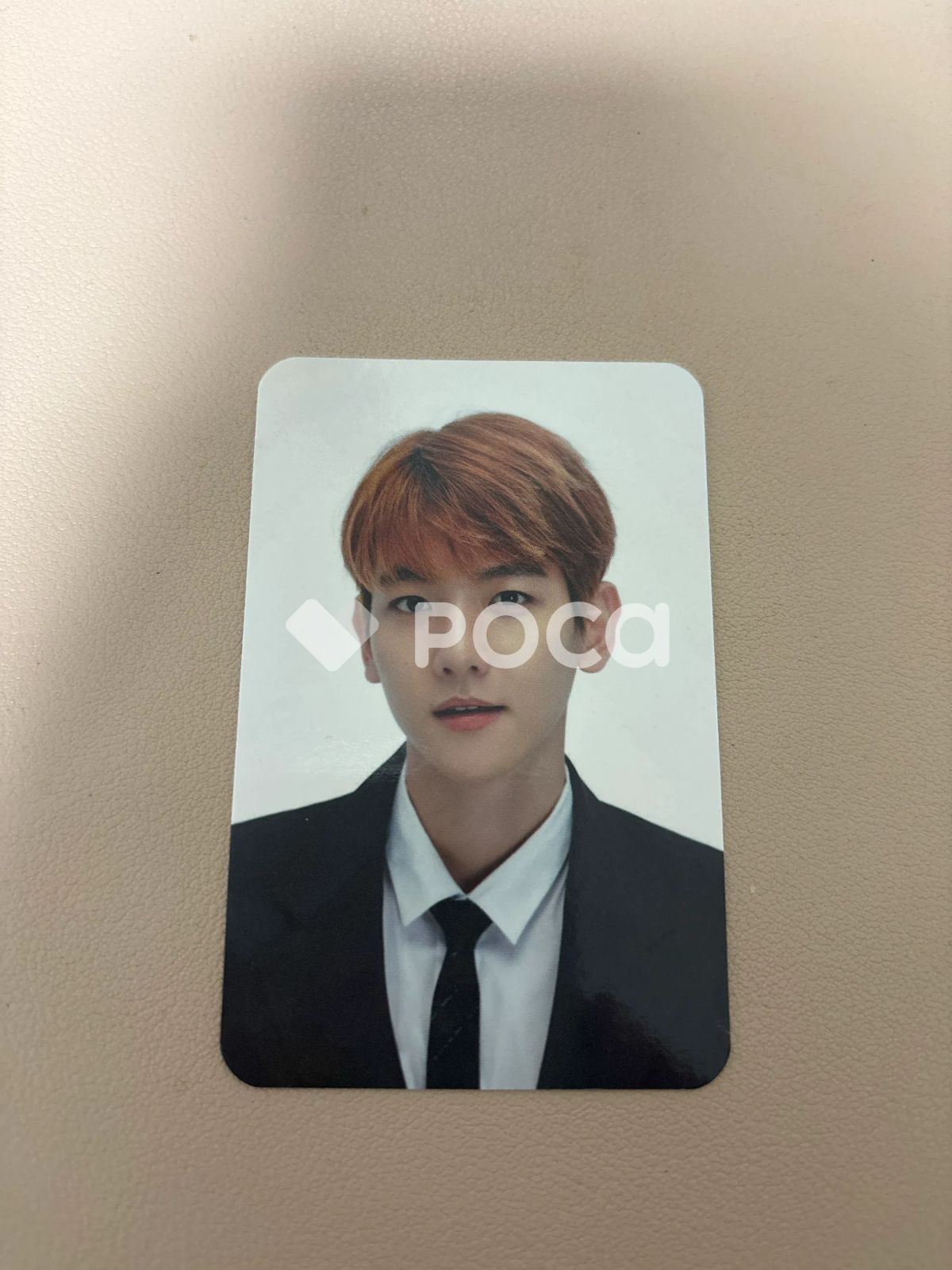 EXO ベクヒョン EXO PLANET #4 The EℓyXiOn dot チケットホルダー +