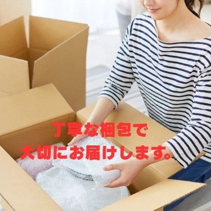 プロスタッフ(Prostaff) 洗車用品 電動ポリッシャー シャイン