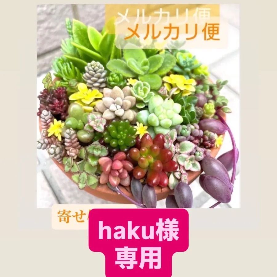 haku様 専用 - メルカリ