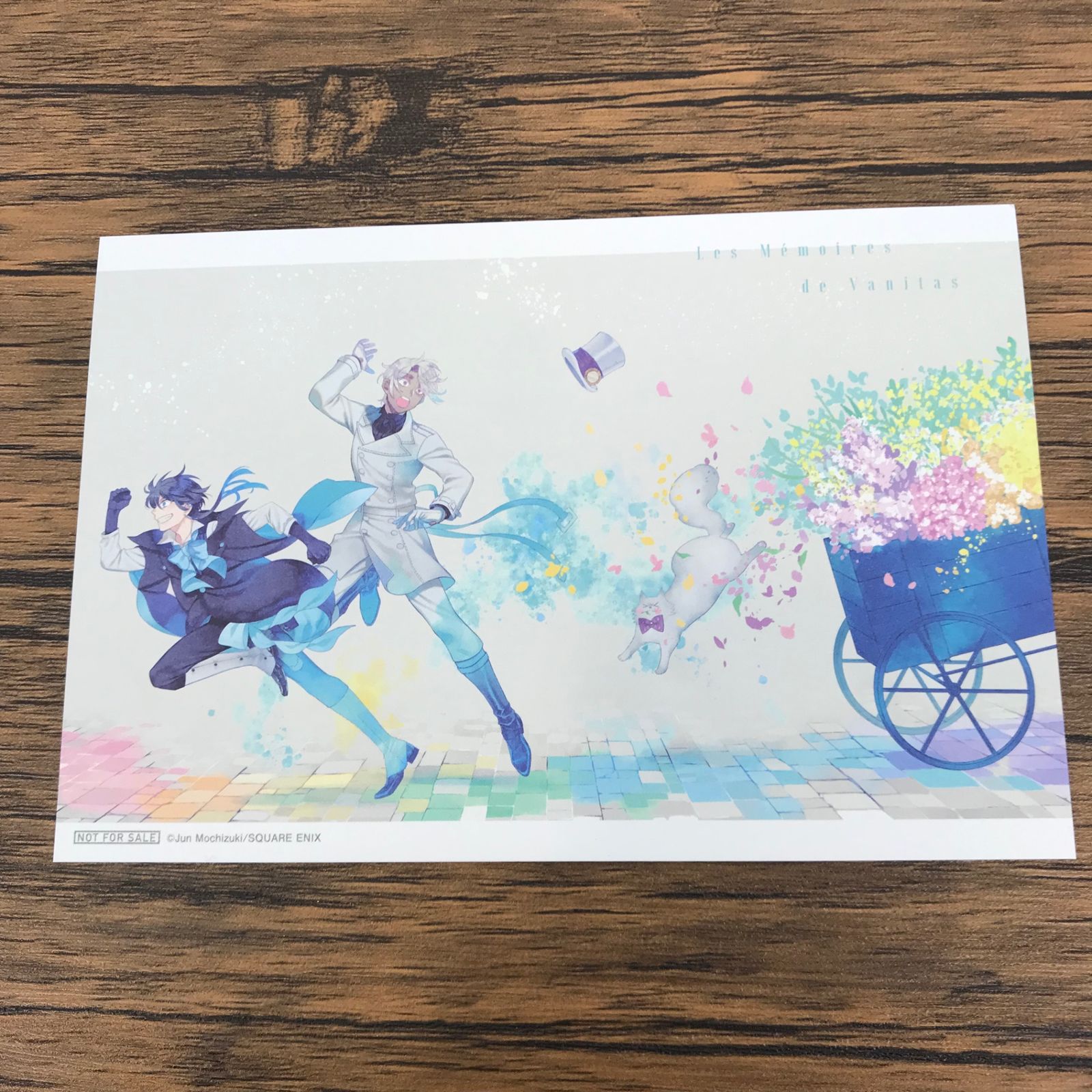 ヴァニタスの手記 1巻/望月淳/GF-0226012939-YP/GF09771 - メルカリ