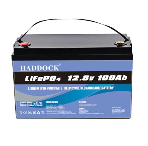 LiFePO4 バッテリー 12V 100AH リン酸鉄リチウム電池 、内蔵リチウム