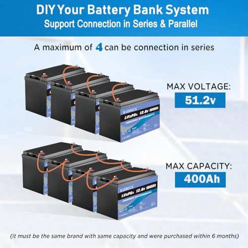 LiFePO4 バッテリー 12V 100AH リン酸鉄リチウム電池 、内蔵リチウム