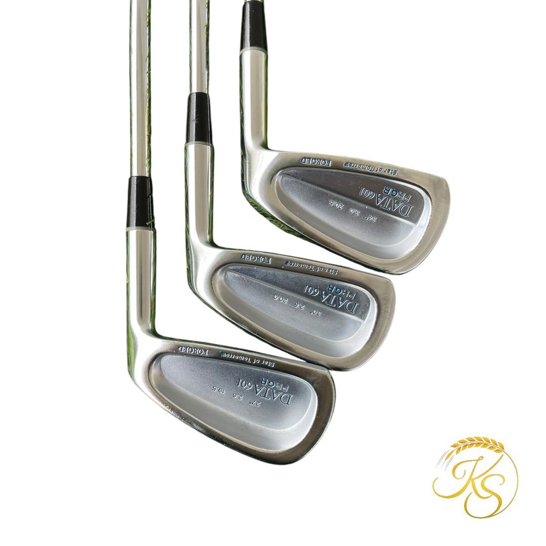 ギア アイアン 3本 右 PRGR DATA601 スチール FORGED 三浦技研 - メルカリ