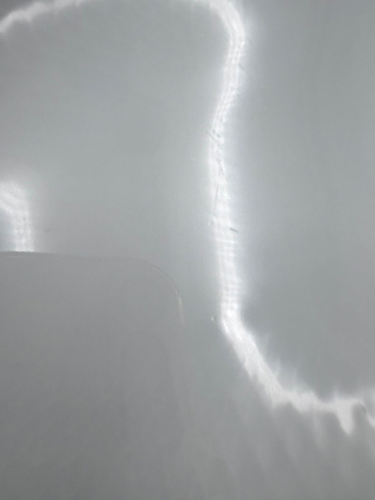 ROYAL COPENHAGEN ロイヤルコペンハーゲン ホワイトパルメッテ