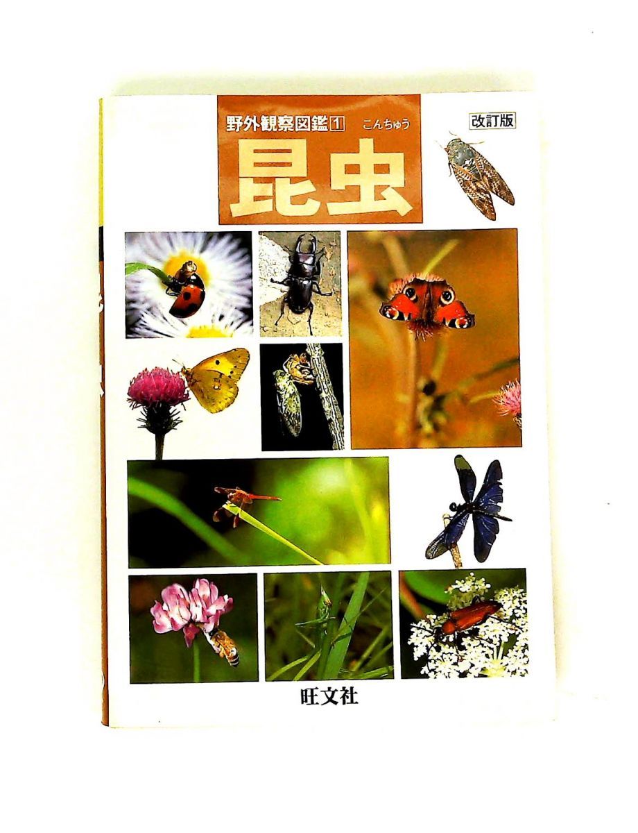 昆虫 改訂版 野外観察図鑑 1 旺文社 - メルカリ