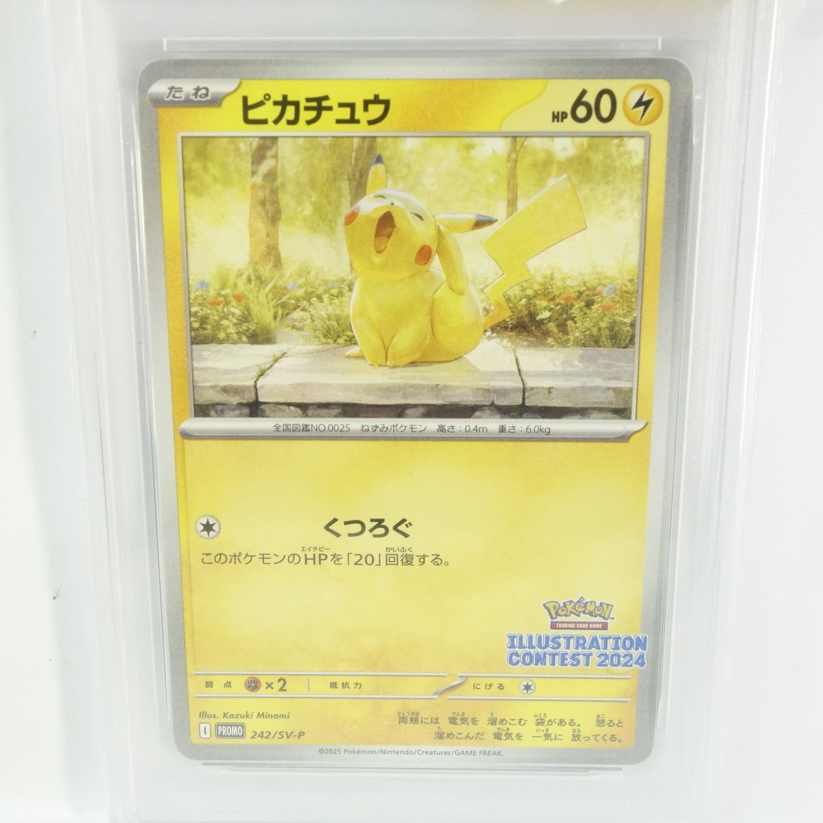 PSA10】ポケモンカード ピカチュウ PROMO プロモ 242/SV-P
