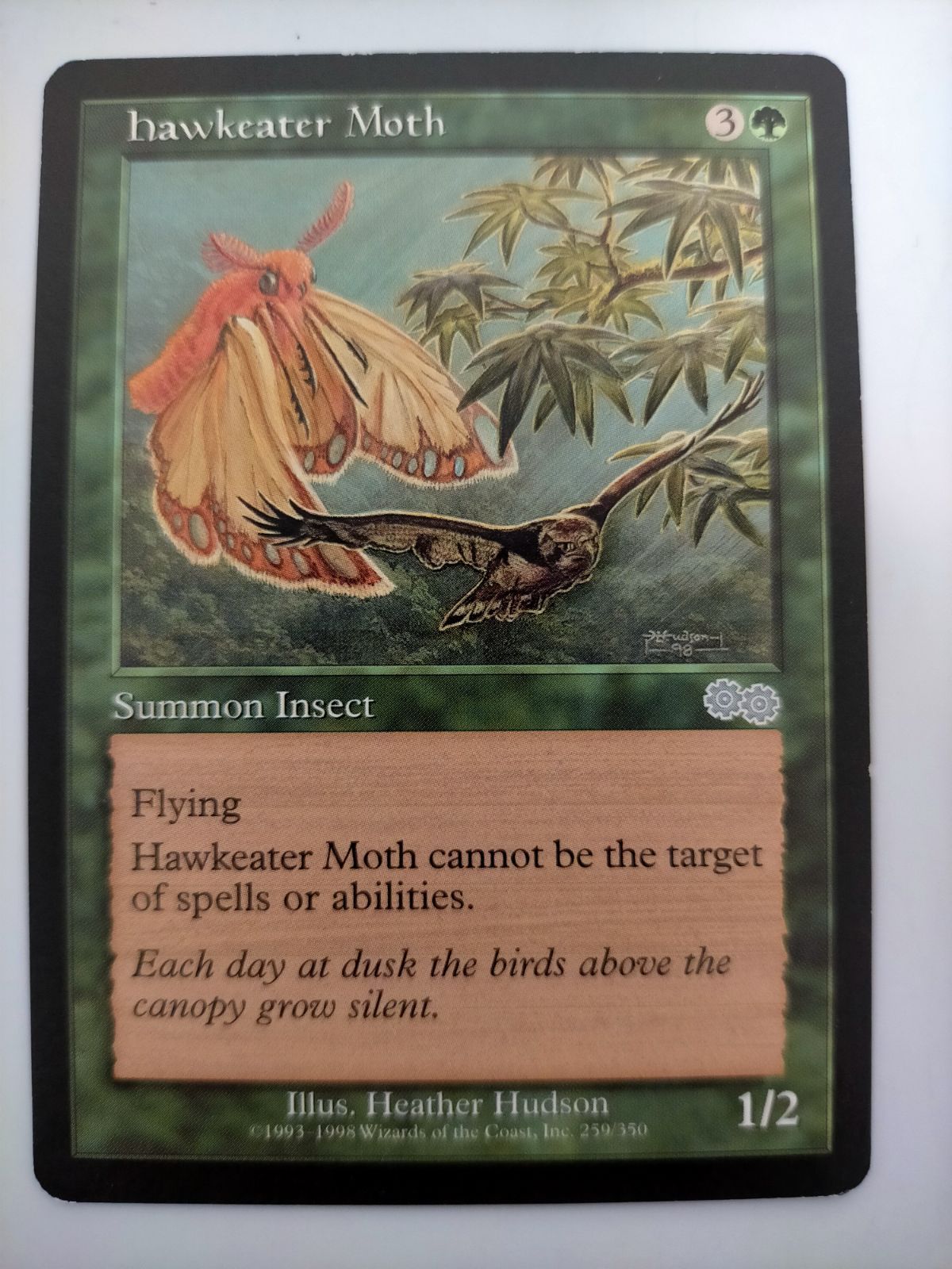 hawkeater Moth ウルザズ・サーガ 英語版 - メルカリ