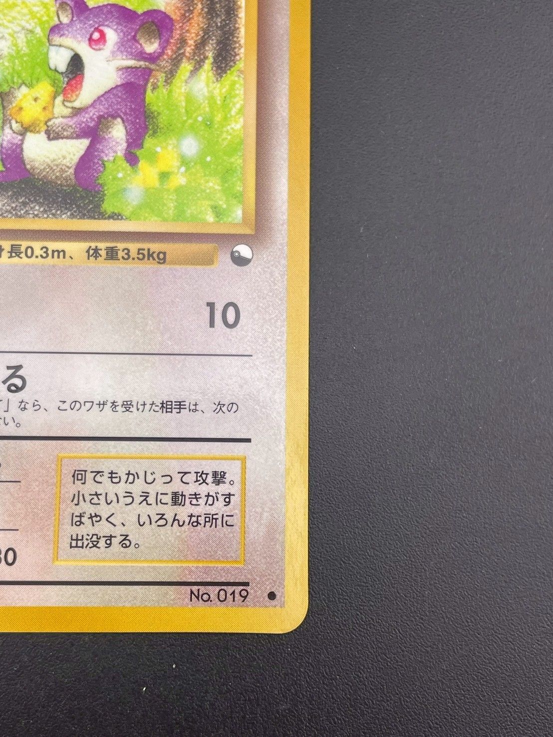 中古品】コラッタLV.15 HP50 No.019 拡張シート 旧裏 トレカ ポケカ