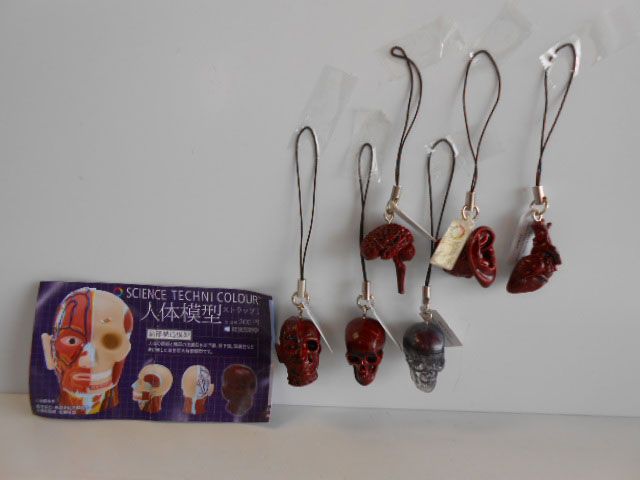 人体模型ストラップ 全6種 奇譚クラブ - メルカリ