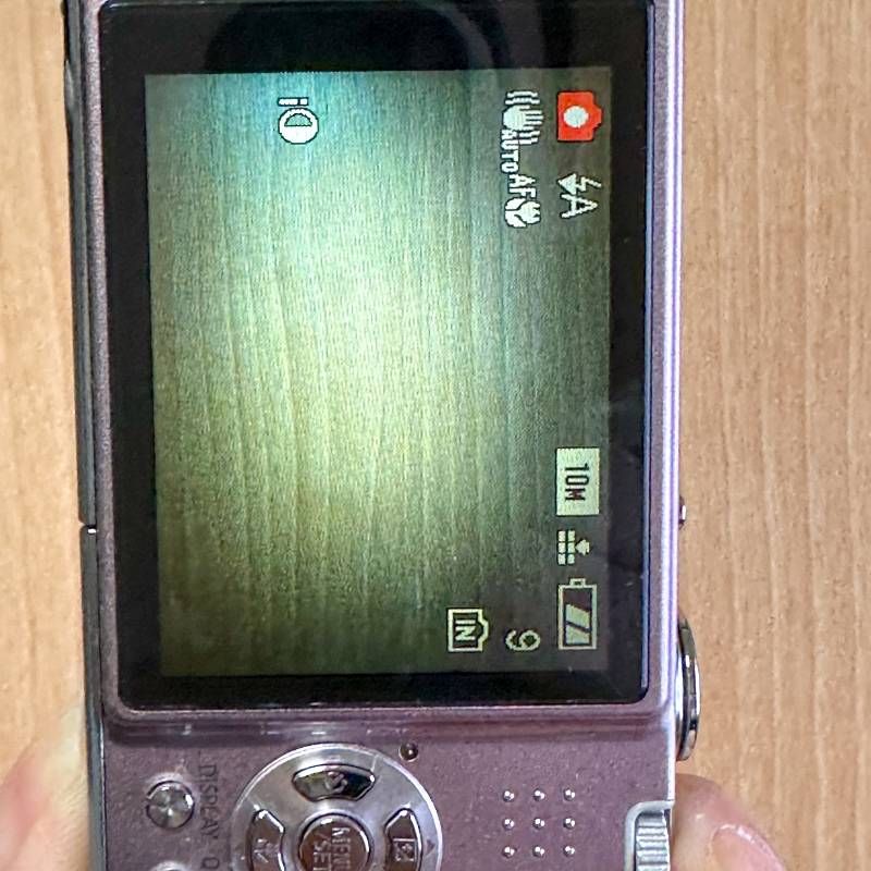 Panasonic LUMIX DMC-FX37 カクテルピンクコンパクトデジタルカメラ