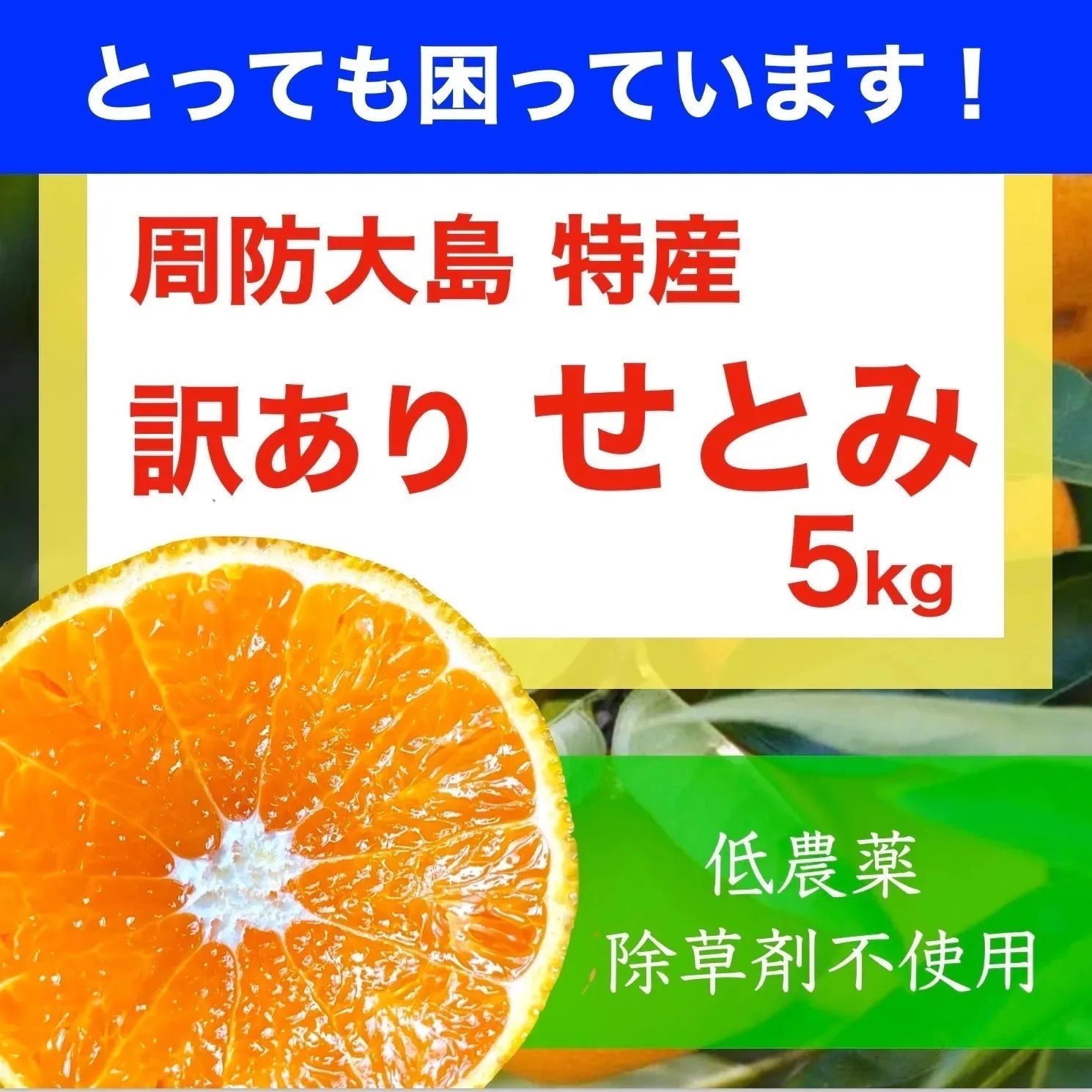 訳あり せとみ 周防大島産 送料込み 5kg - メルカリ