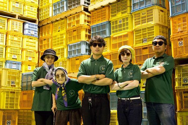 和歌山 ネーブル オレンジ 10kg 大玉 4Lサイズ限定 国産 農園・生産者