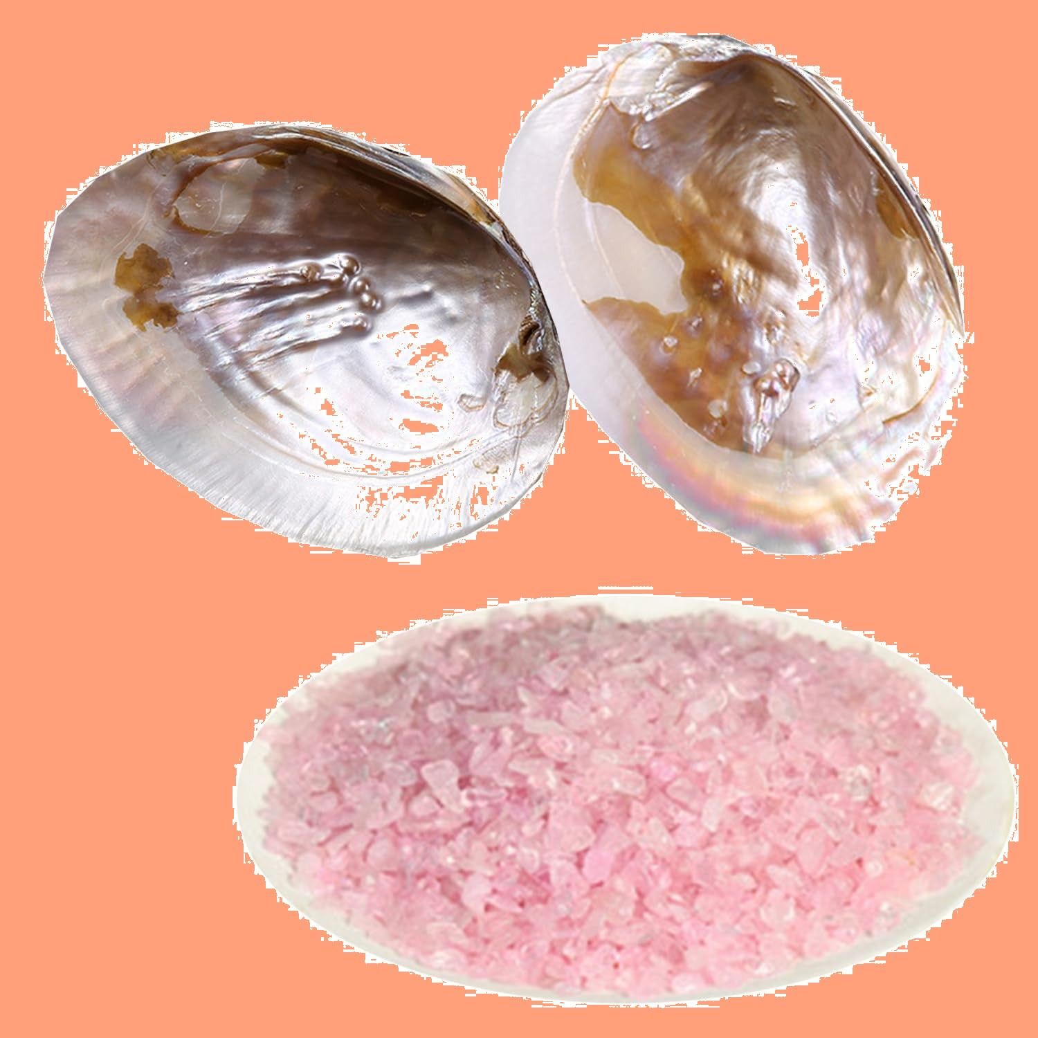 パールシェル 皿 貝殻 パワーストーン さざれ石 浄化 シェル 浄化用