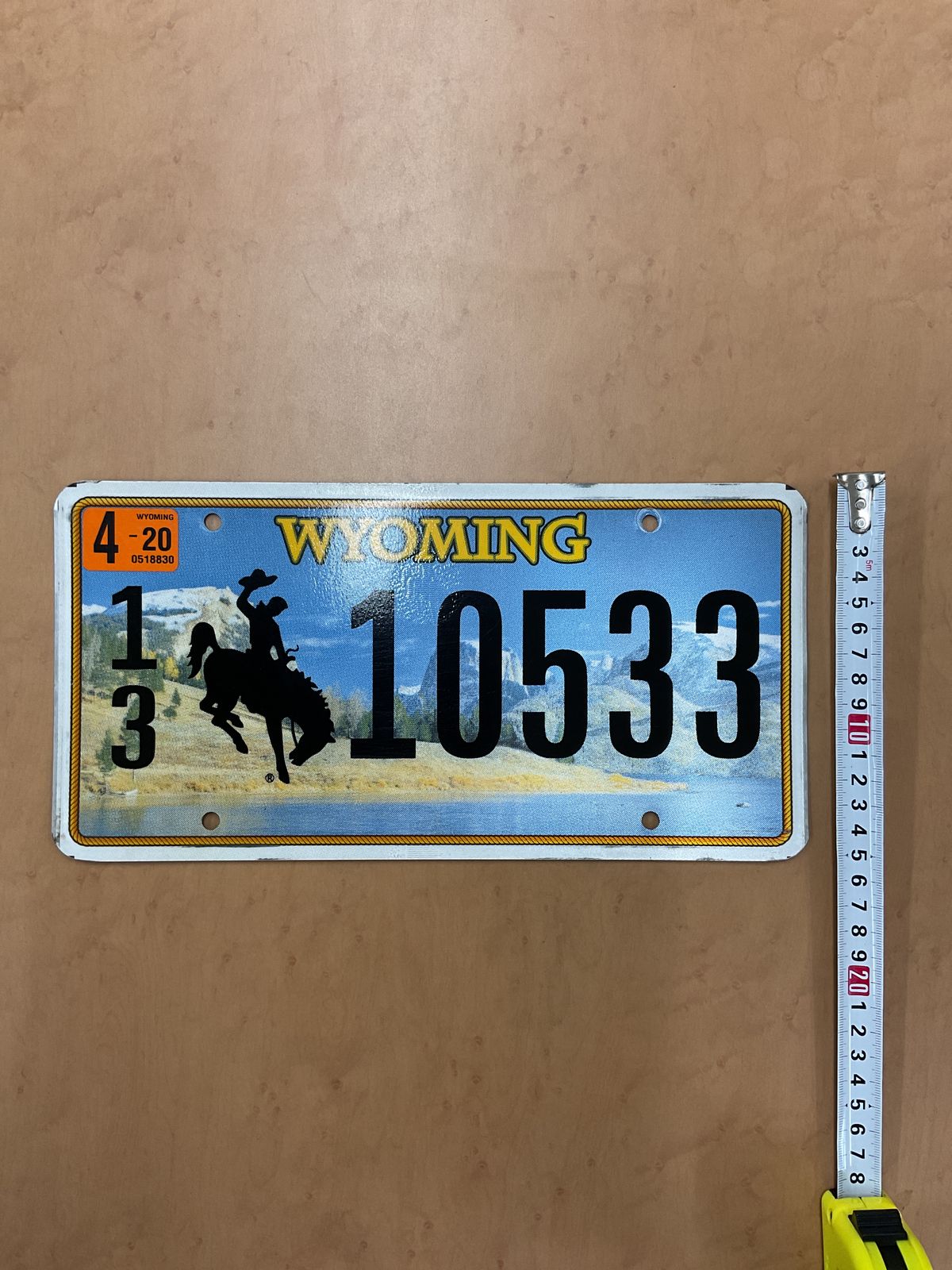 アンティーク風 ナンバープレート Wyoming License Plate 10533 Cowboy