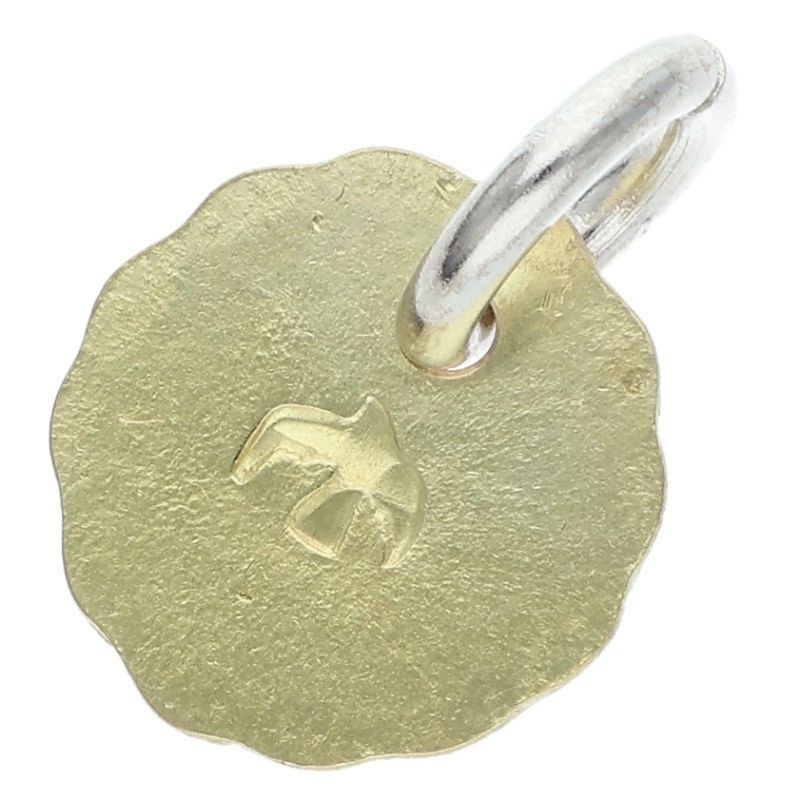 ゴローズ 全金メタル 大 ネックレストップ メンズ 大 - メルカリ