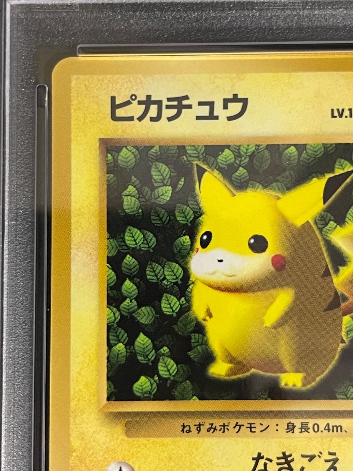 ポケモンカード 1996年 IVY ピカチュウ 光沢あり 旧裏 プロモ PSA7鑑定