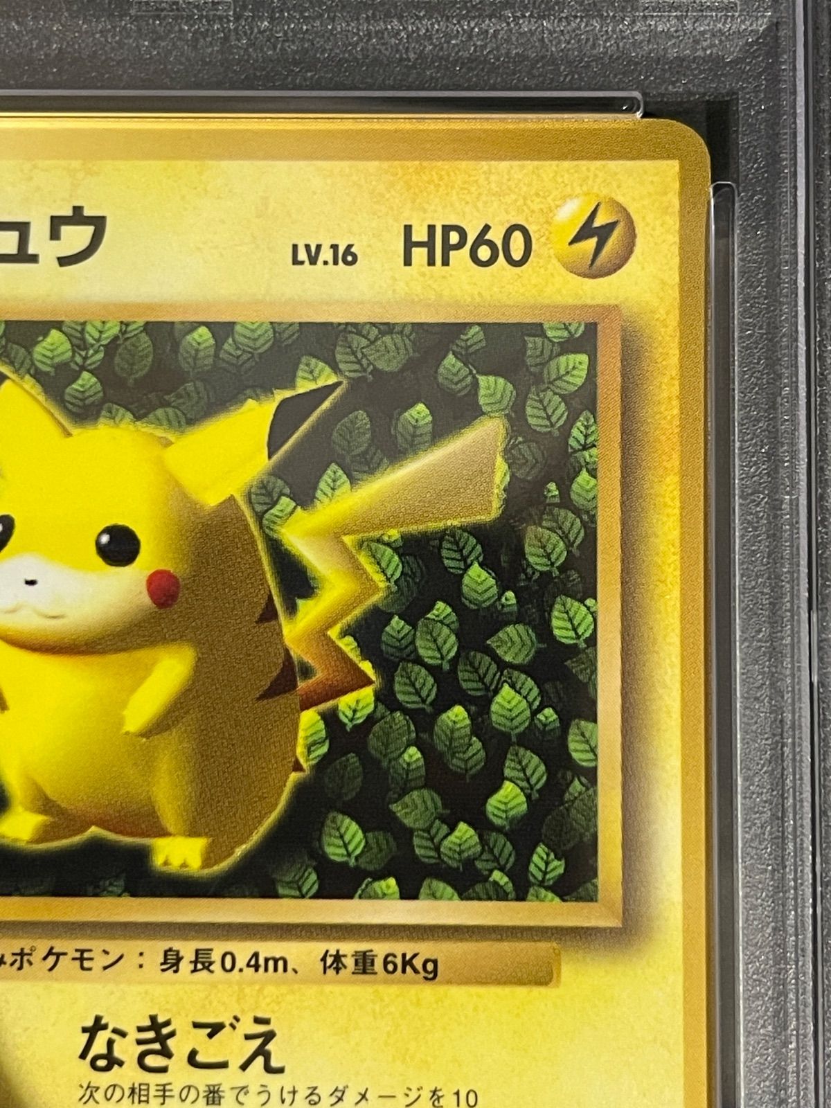 ポケモンカード 1996年 IVY ピカチュウ 光沢あり 旧裏 プロモ PSA7鑑定