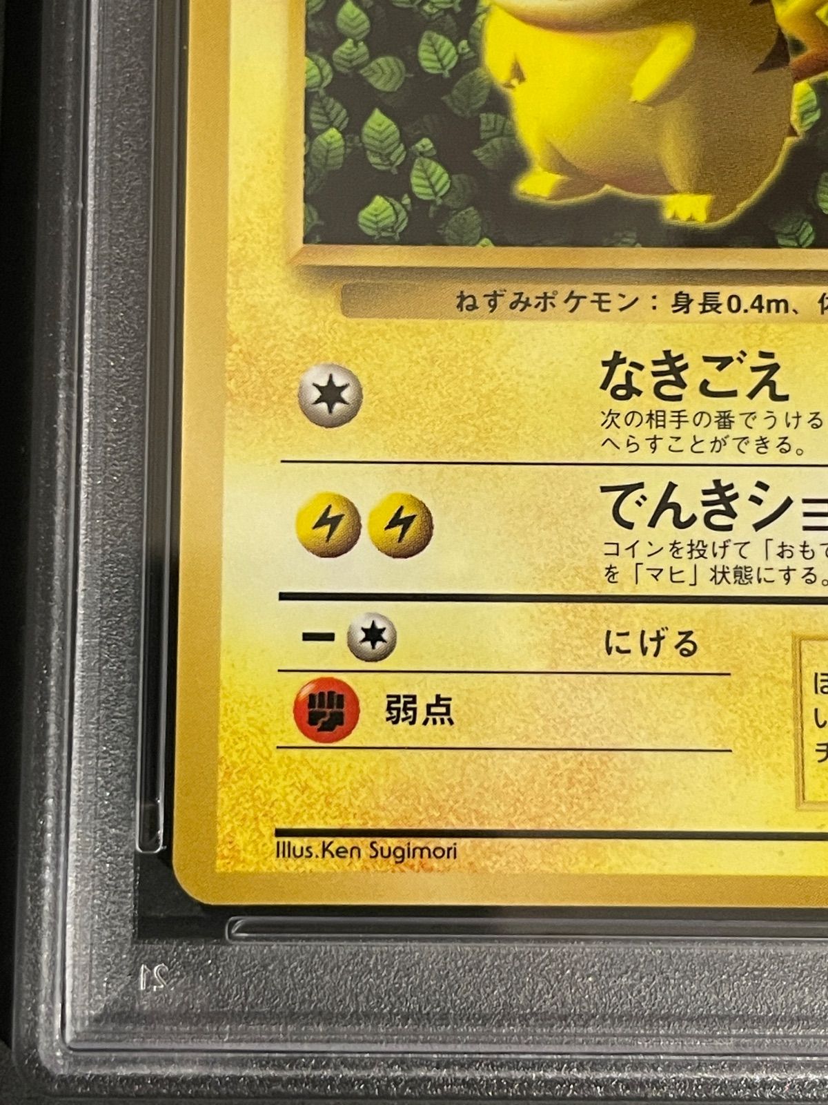 ポケモンカード 1996年 IVY ピカチュウ 光沢あり 旧裏 プロモ PSA7鑑定