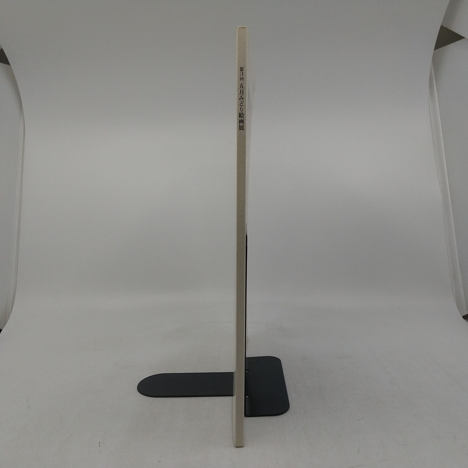 第3回 五月みどり絵画展 図録 画集 大型本 1994年(平成6年)発行 さつき