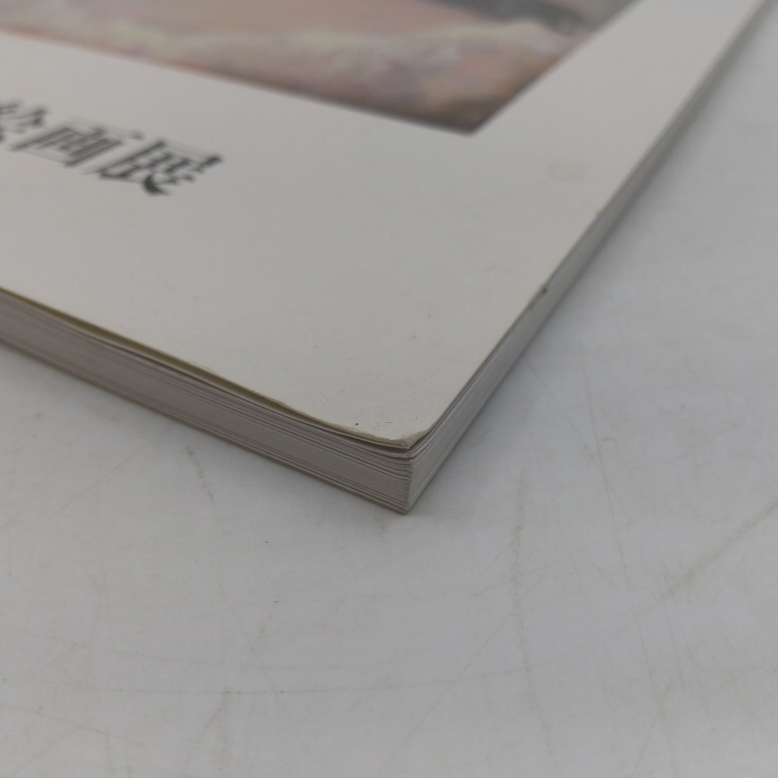 第3回 五月みどり絵画展 図録 画集 大型本 1994年(平成6年)発行 さつき