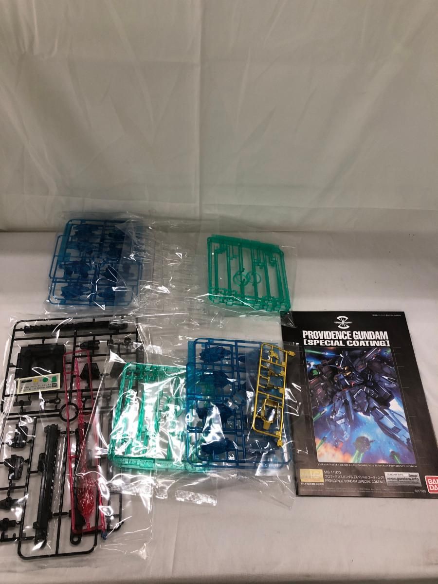 未開封】1/100 MG ZGMF-X13A プロヴィデンスガンダム [スペシャル
