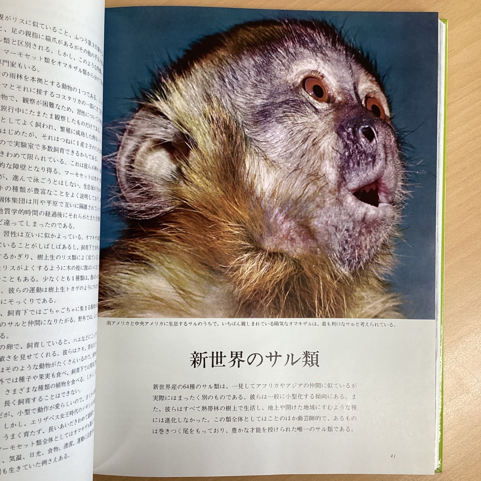 Life Nature Library ライフネーチュアライブラリー 21冊セット