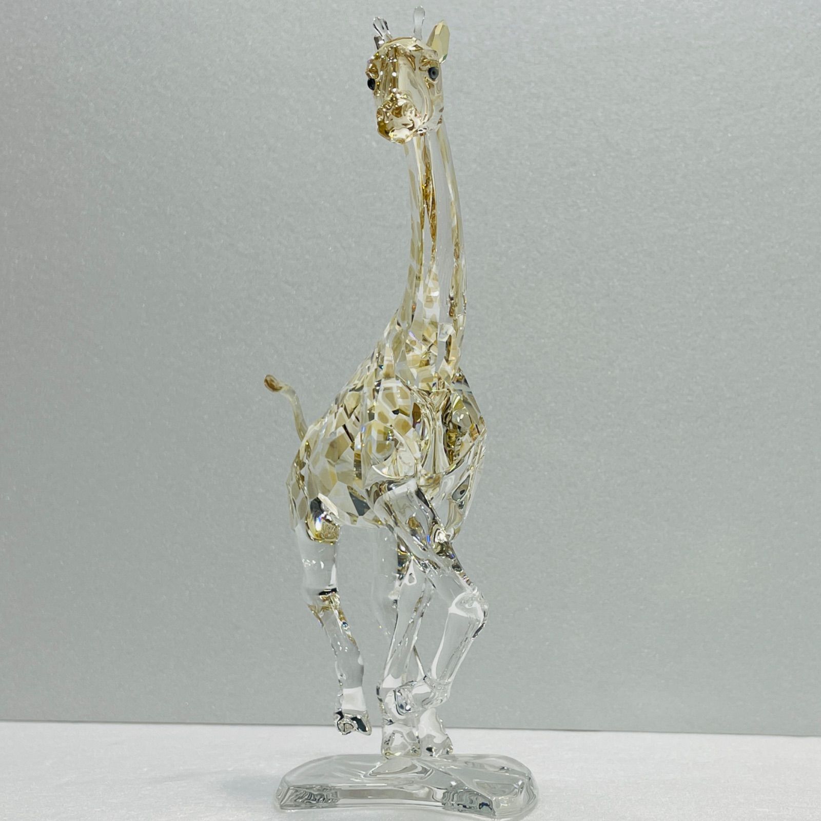 キリン ランニング