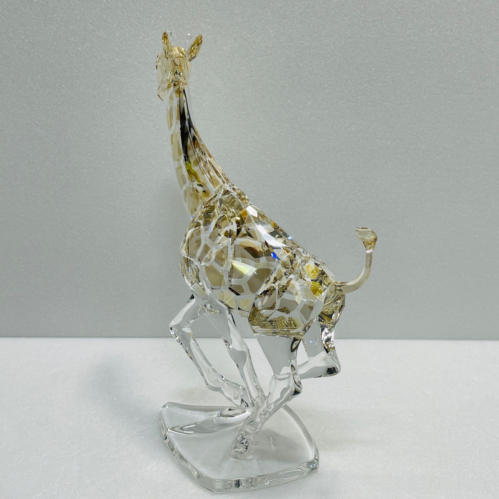 キリン ランニング