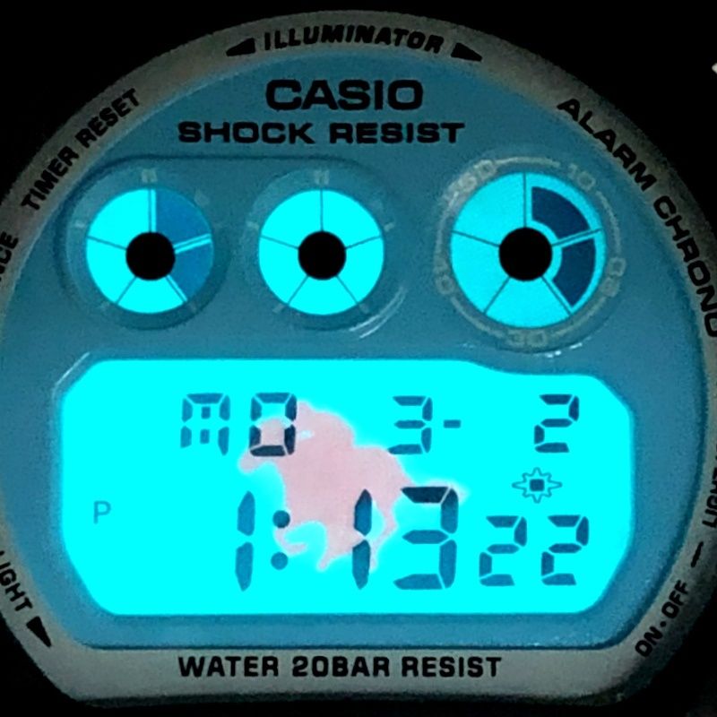 G-SHOCK ジーショック DW-6900 JRA 日本中央競馬会 サマーシリーズ2006 
