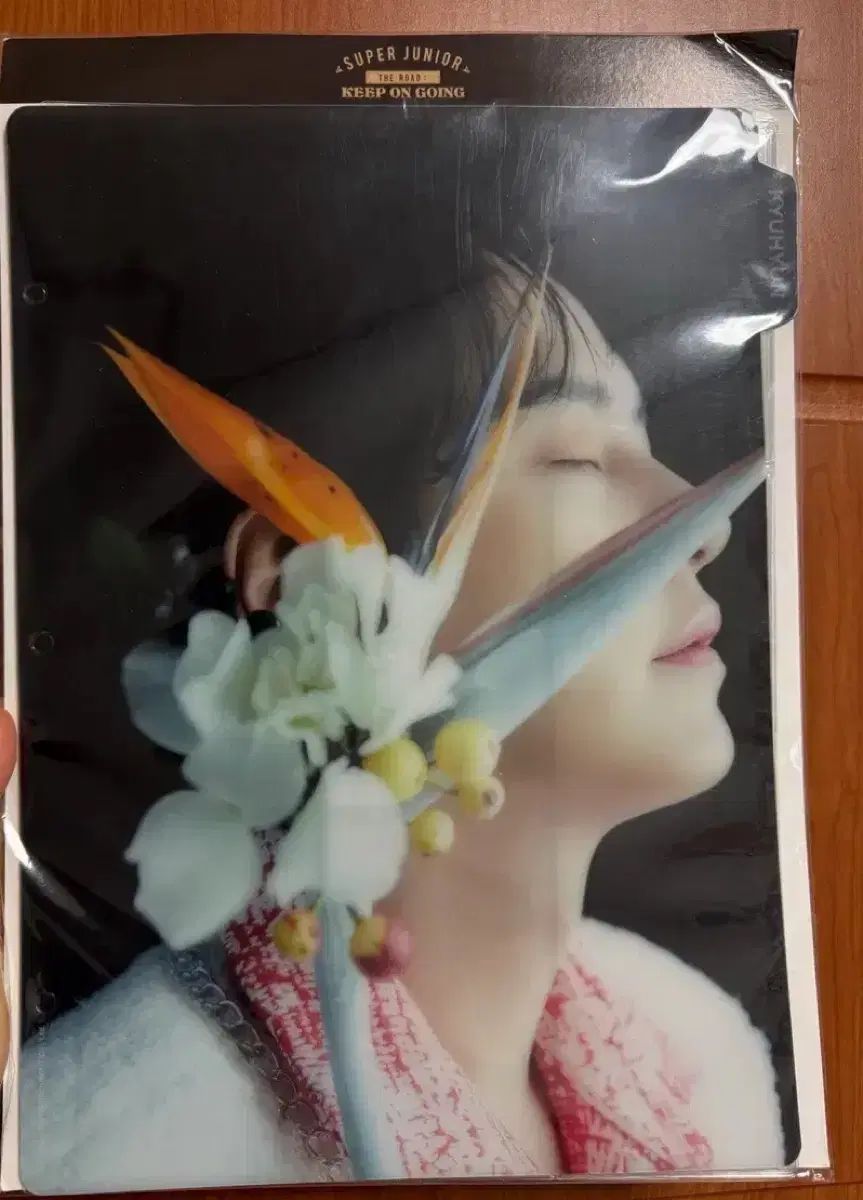 super junior キュヒョン(KYUHYUN) バインダー INDEX(インデックス