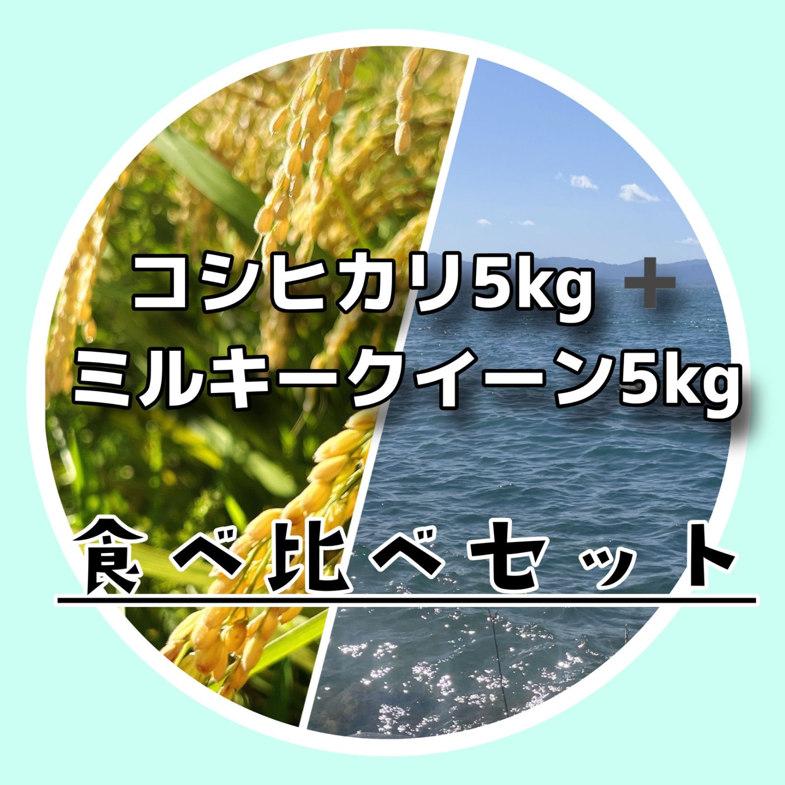 令和7年度新米】近江米 ミルキークイーン 5kg +コシヒカリ5kg - メルカリ