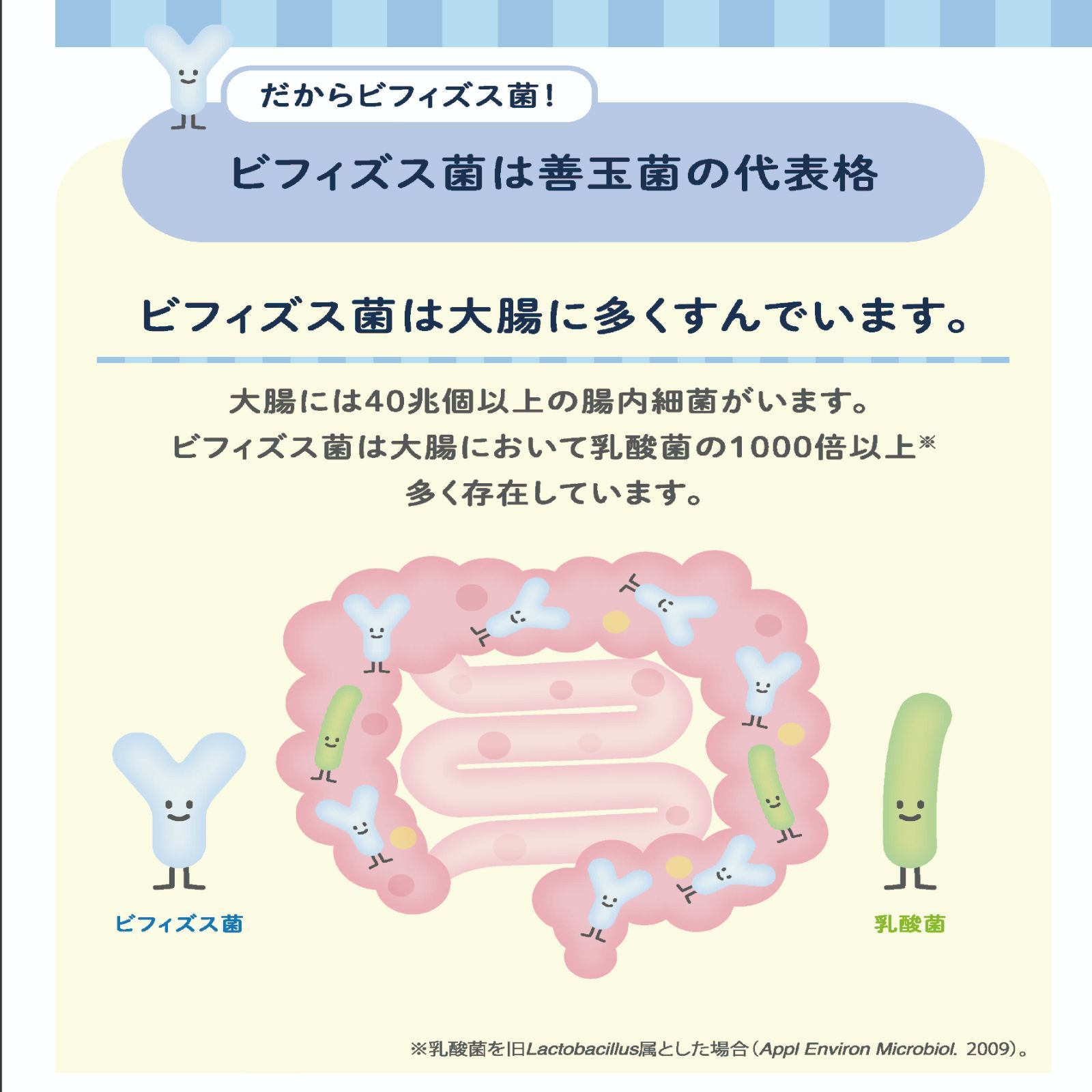 森永乳業クリニコ ビフィズス菌末BB536（2g×30本）×6箱セット【機能性 