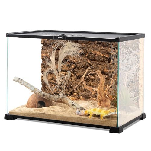 55L 爬虫類ケージ グラステラリウム 透明 飼育ケース 上部給餌穴 飼育