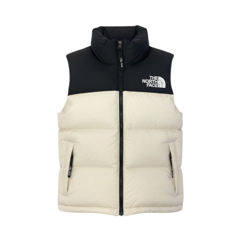 60c6 THE NORTH FACE ザ ノースフェイス 韓国ノース 1996 ECO NUPTSR 