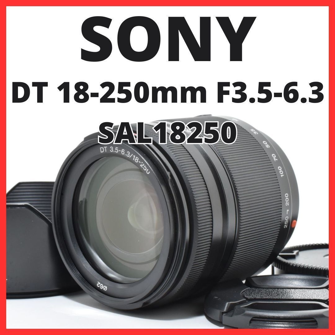 B05[7286]5 ソニー SONY DT 18-250mm F3.5-6.3 SAL18250 【レンズ