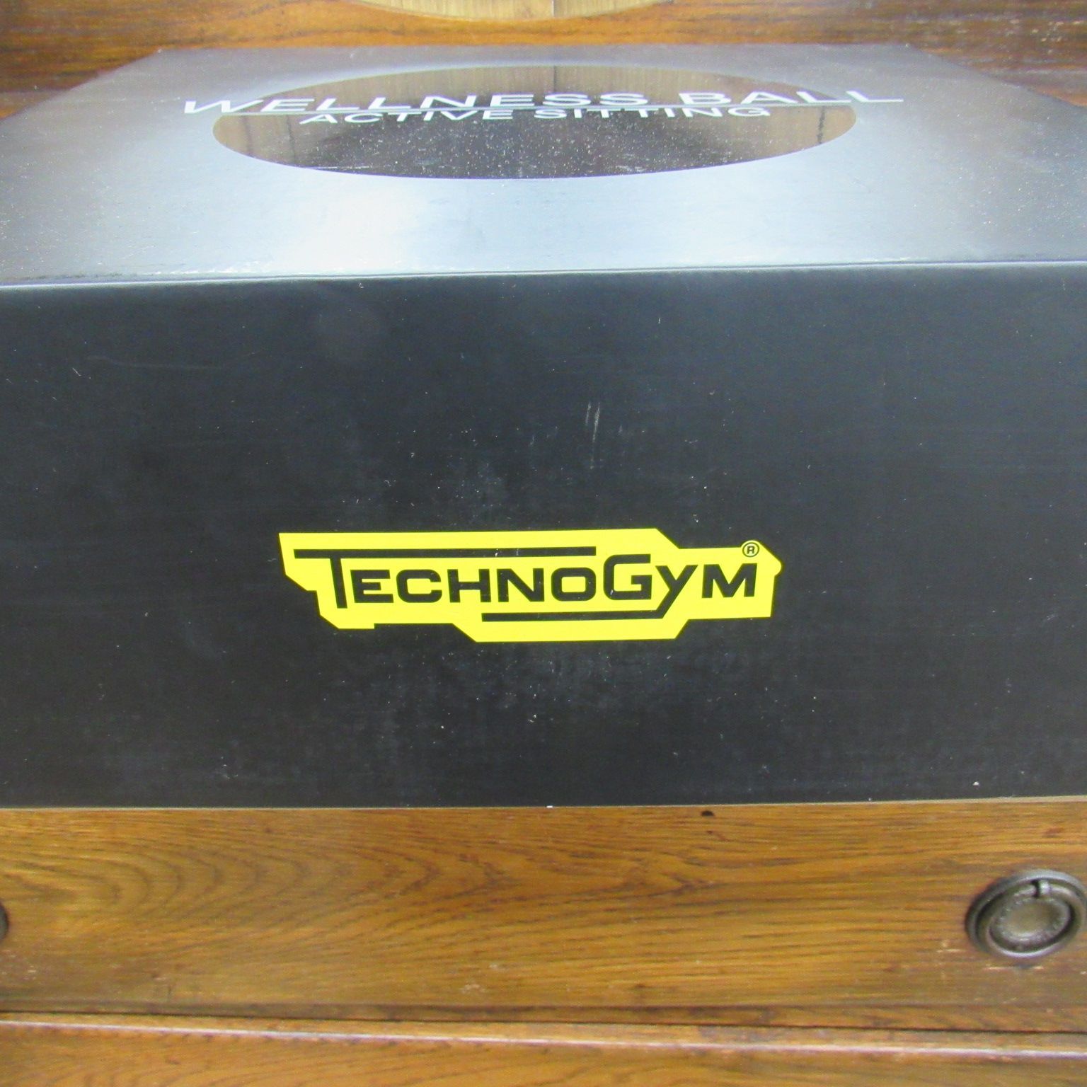 TECHNOGYM WELLNESSBALL バランスボール 55cm ブラック エキスパート