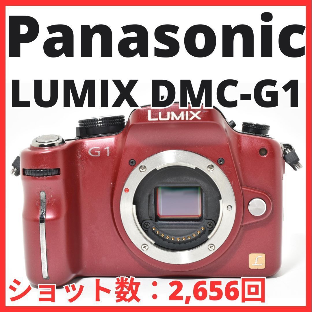 L18[7115B] パナソニック Panasonic LUMIX DMC-G1 ボディ 【ショット数