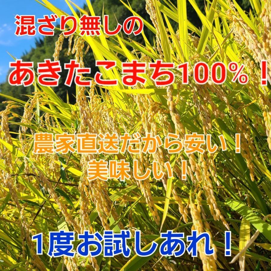 農家直送R7年度産 あきたこまちR 精米済10キロ 秋田県産】R7年度あきたこまち 10kg 白米 - メルカリ