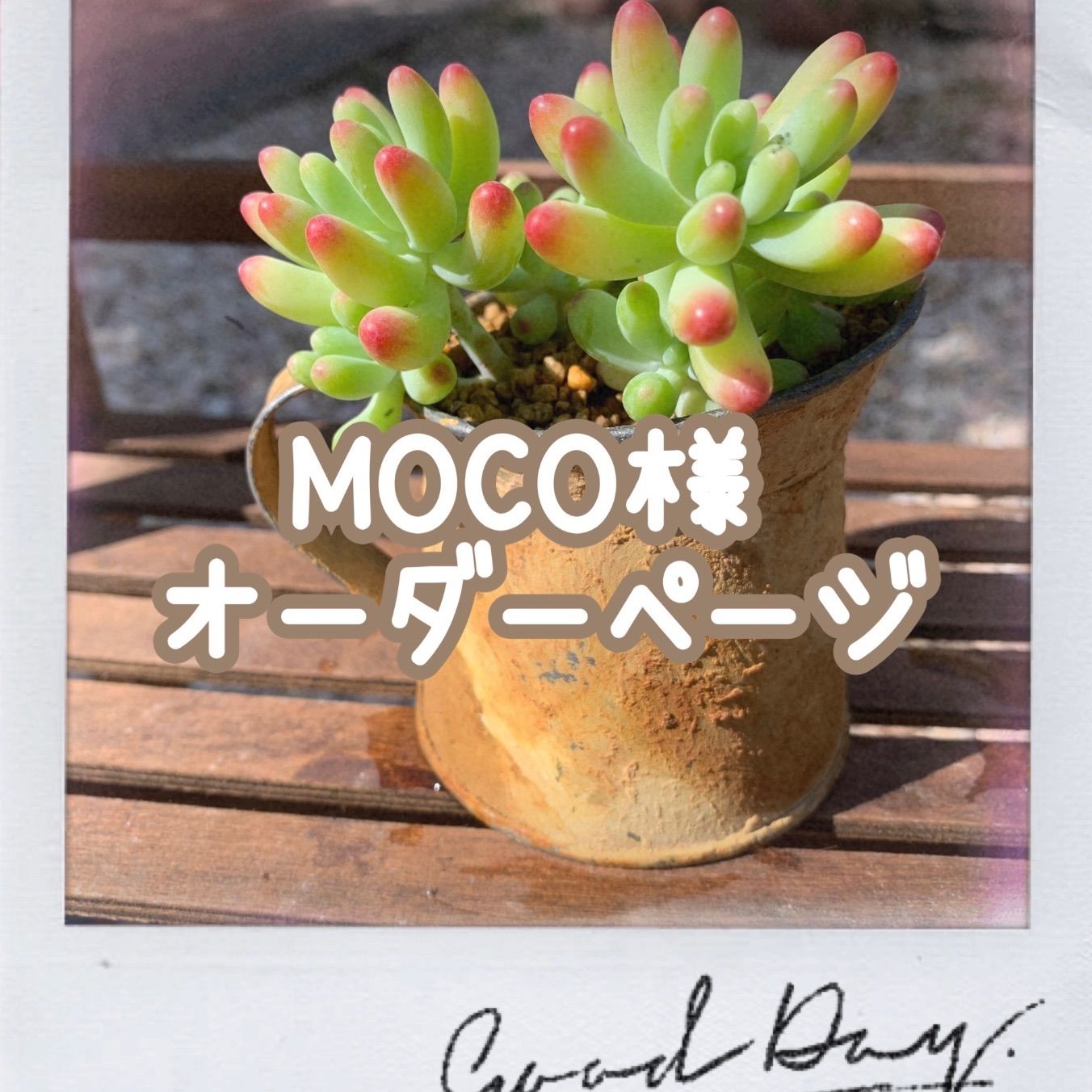 moco さん　専用 mocoさん専用 【公式通販】