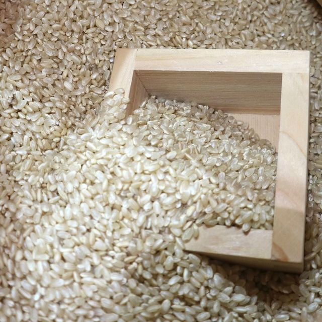 玄米 兵庫県産 ヒノヒカリ 2kg 送料込 - メルカリ