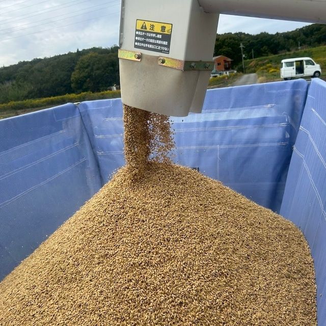 玄米 兵庫県産 ヒノヒカリ 2kg 送料込 - メルカリ
