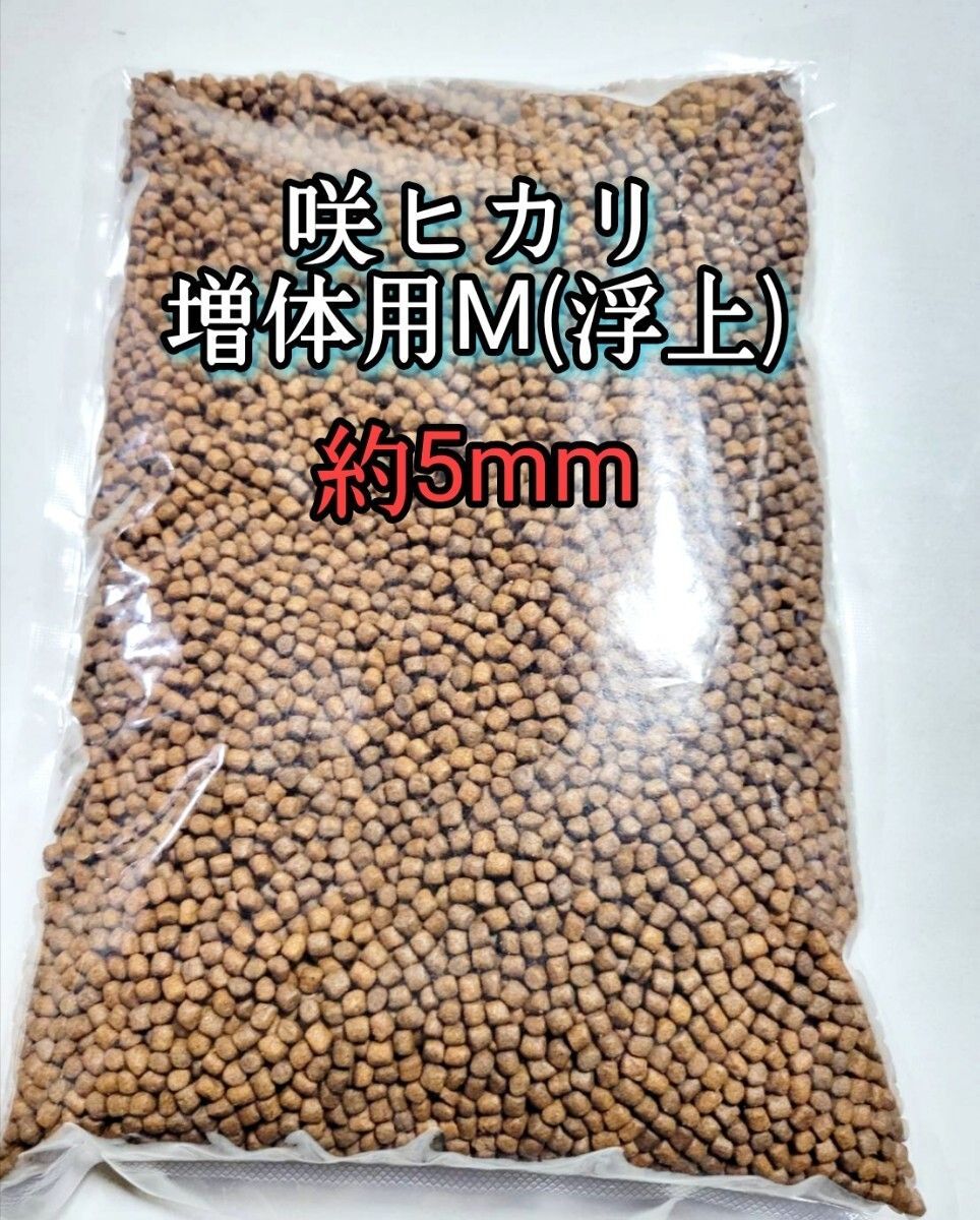 咲ひかり 増体用 浮上 M 3.5kg 約5.0〜5.5mm 金魚の餌 熱帯魚の餌 アクアリウム 金魚 熱帯魚 錦鯉 亀 アロワナ 川魚