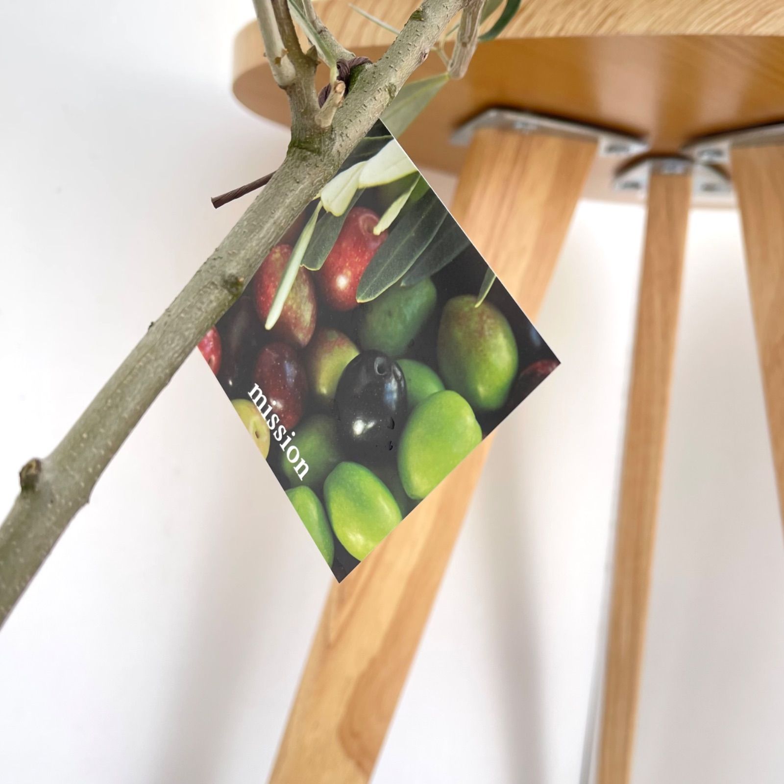 オリーブ ミッション 19【現品】観葉植物 大型 創樹 SOUJU 8号 - メルカリ