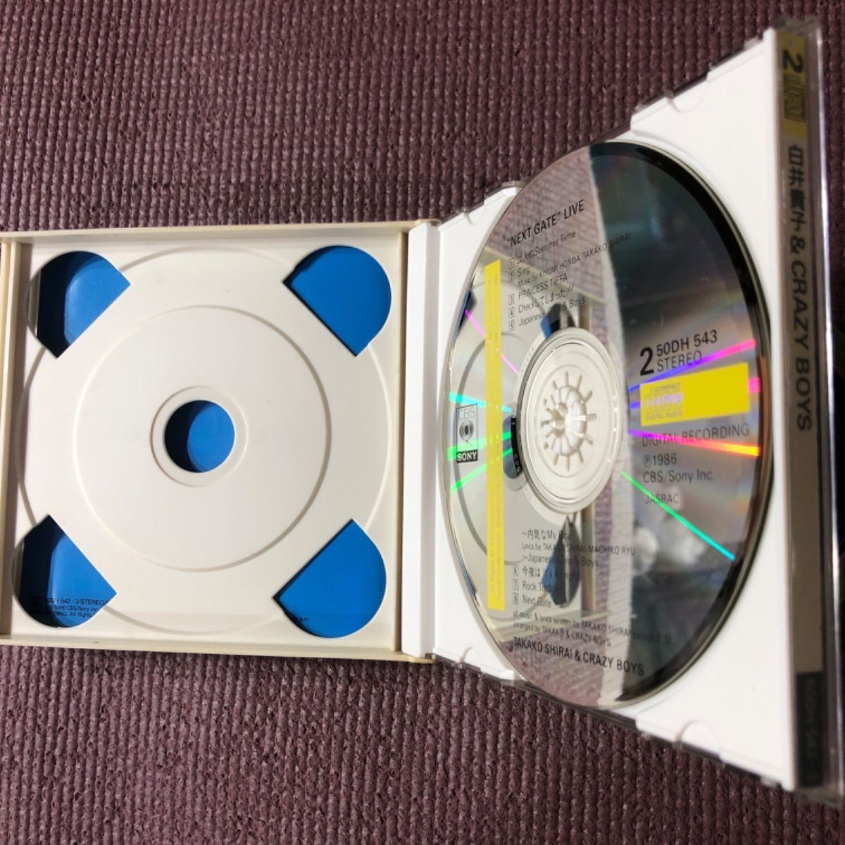 白井貴子 & crazyboys 