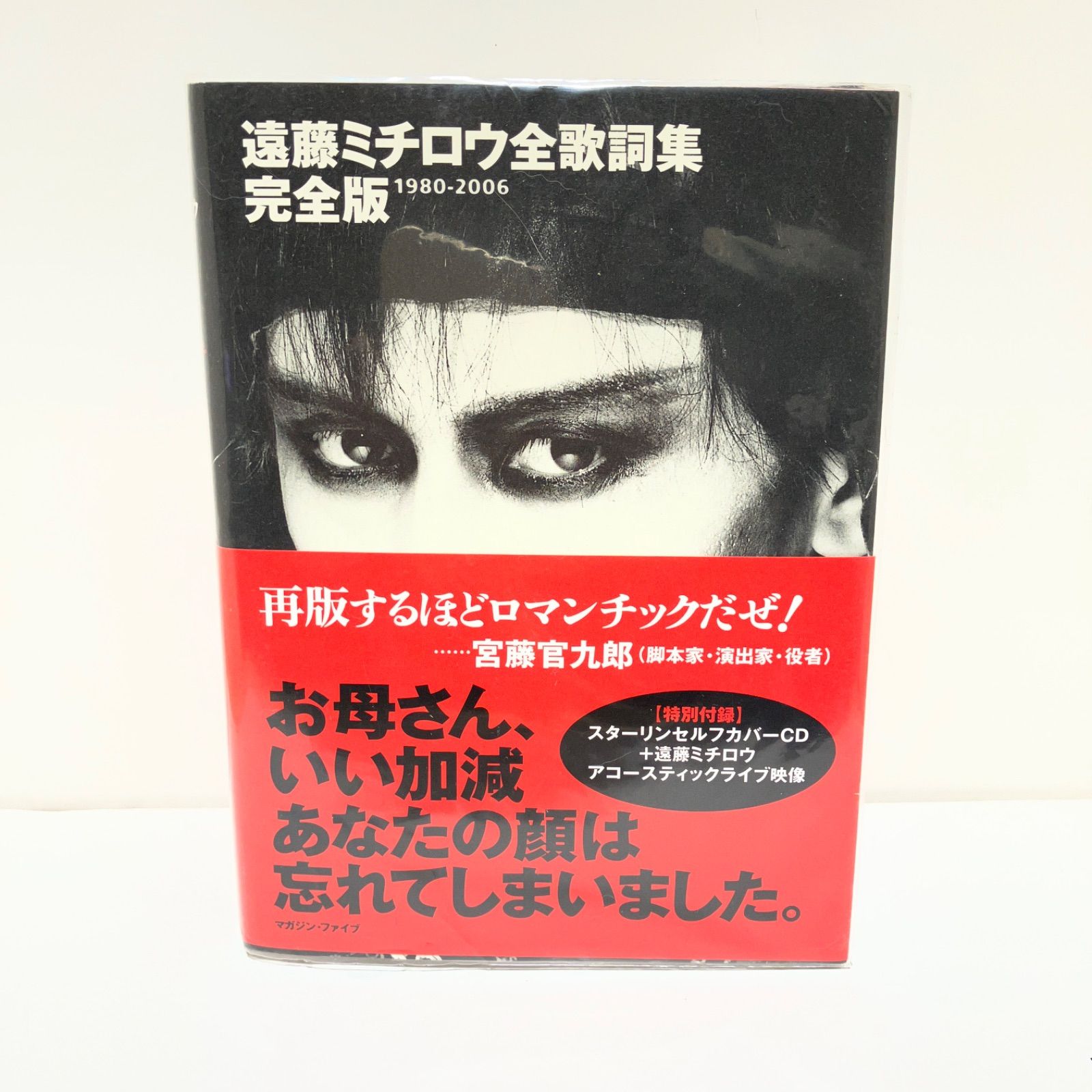 遠藤ミチロウ全歌詞集 : お母さん、いい加減あなたの顔は忘れてしまい